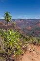 083 Kauai, Waimea Canyon SP